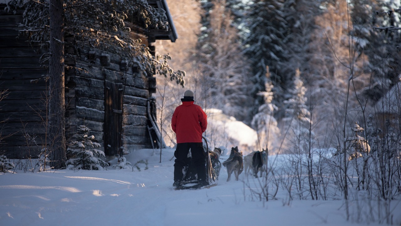 Photo of Others in Jorn