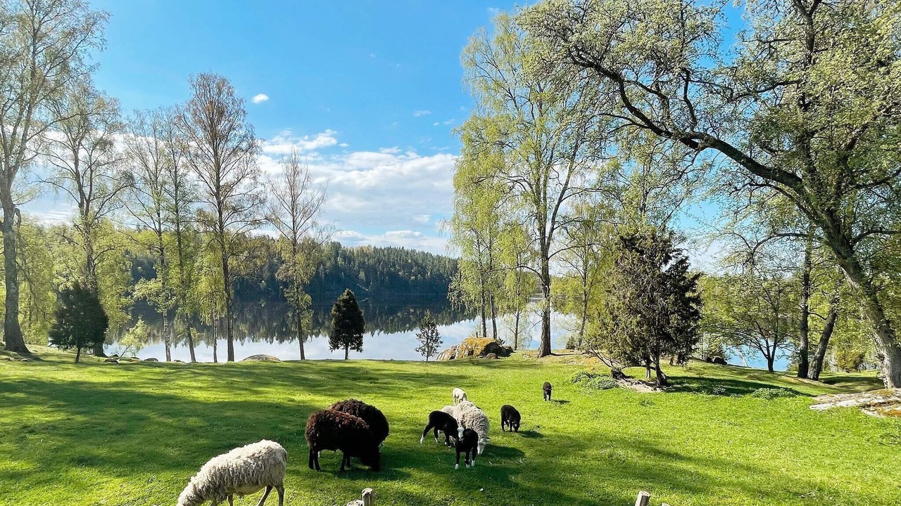 Photo of Outdoor in Molnbo