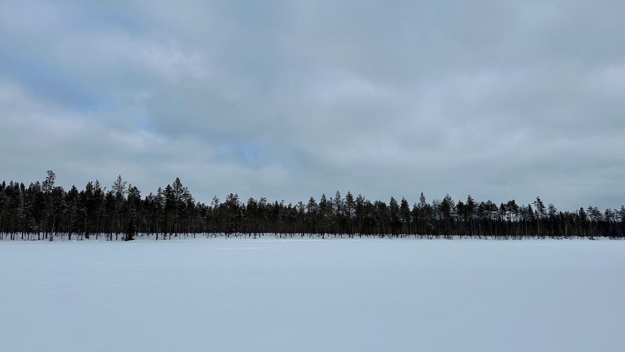 Photo of Others in Jorn