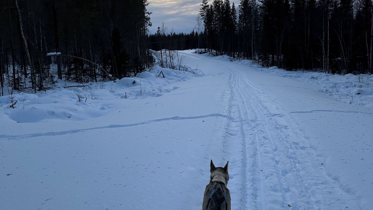 Photo of Others in Jorn