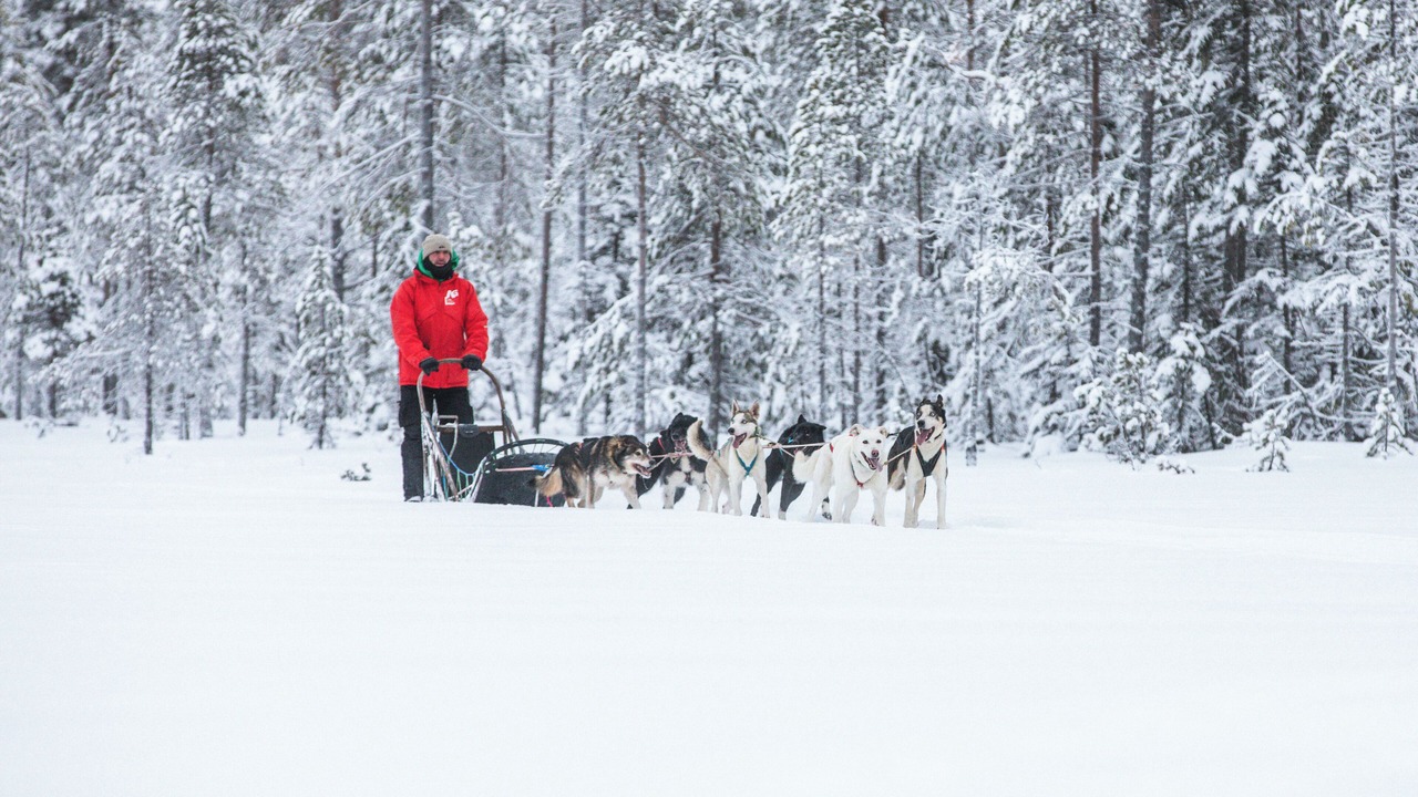 Photo of Others in Jorn