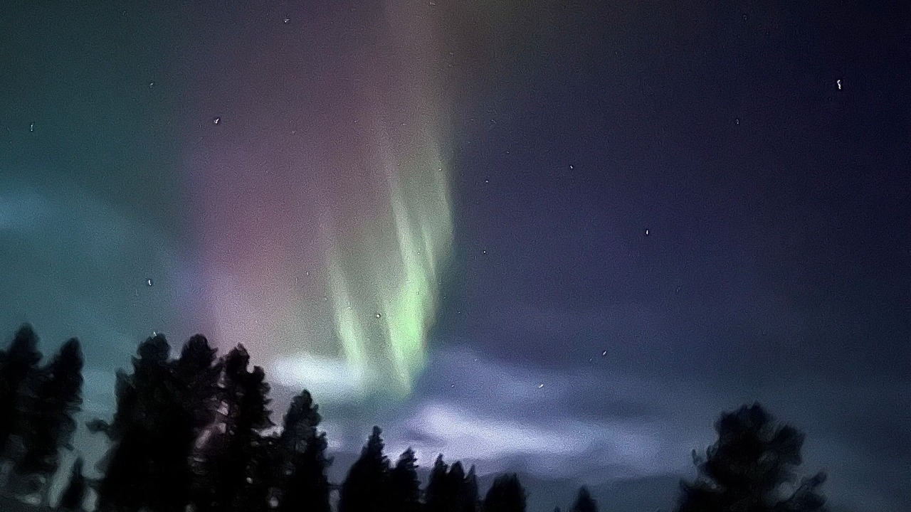 Photo of Others in Jorn