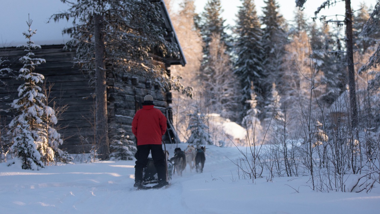 Photo of Others in Jorn