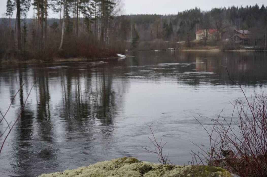 Photo of Others in Ljungaverk