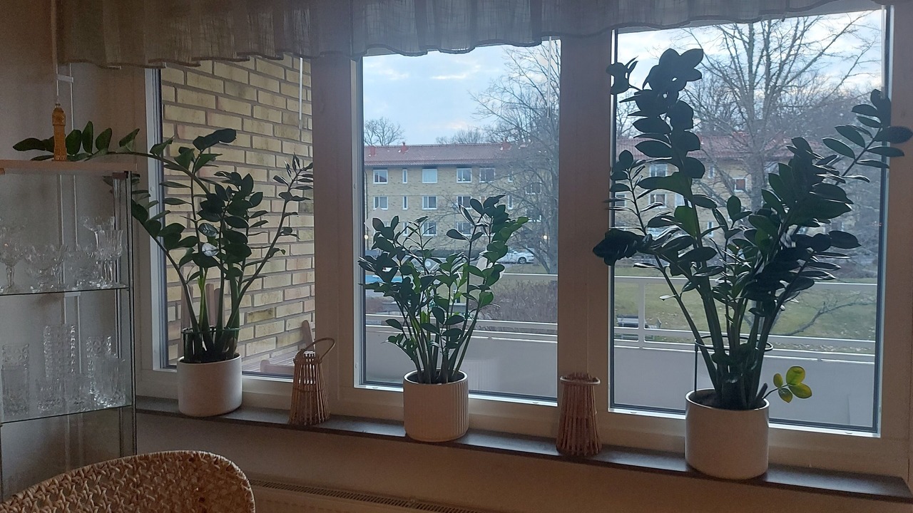 Photo of Others in Linkoping