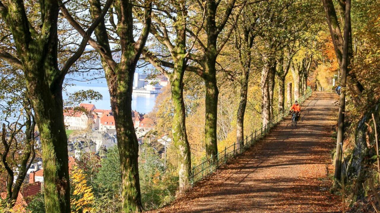 Photo of Outdoor in Bergen City Centre