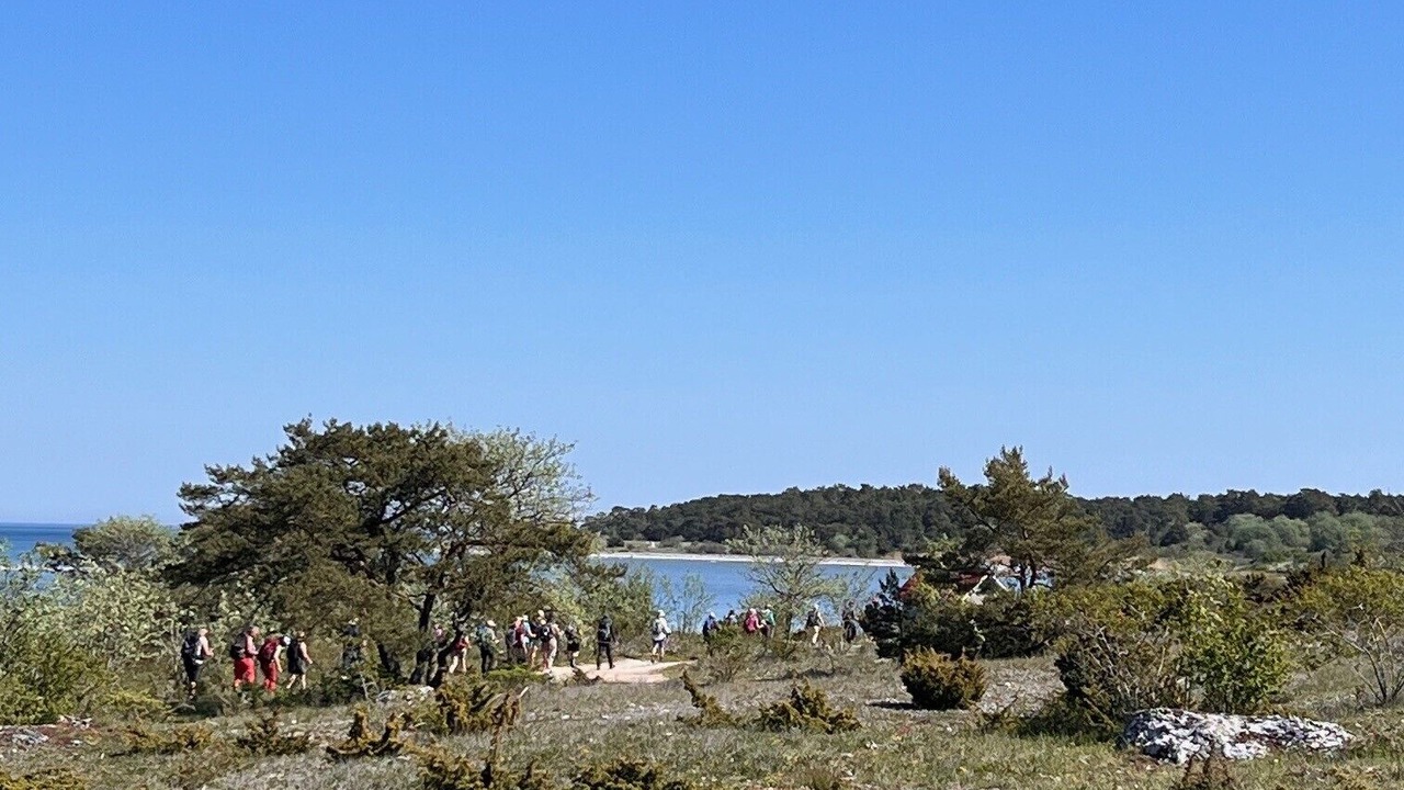 Photo of Outdoor in Katthammarsvik