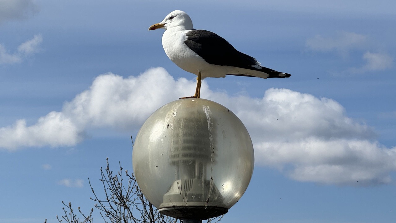 Photo of Others in Stromstad Municipality