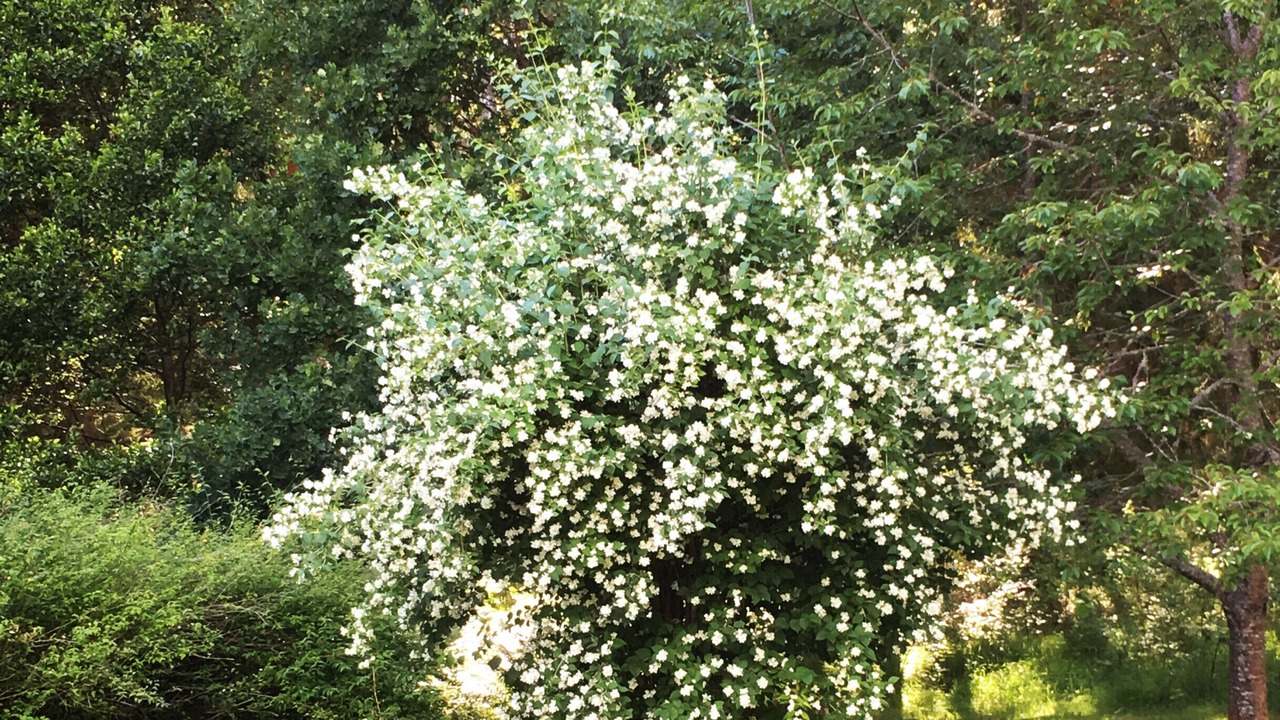 Photo of Outdoor in Östergötland