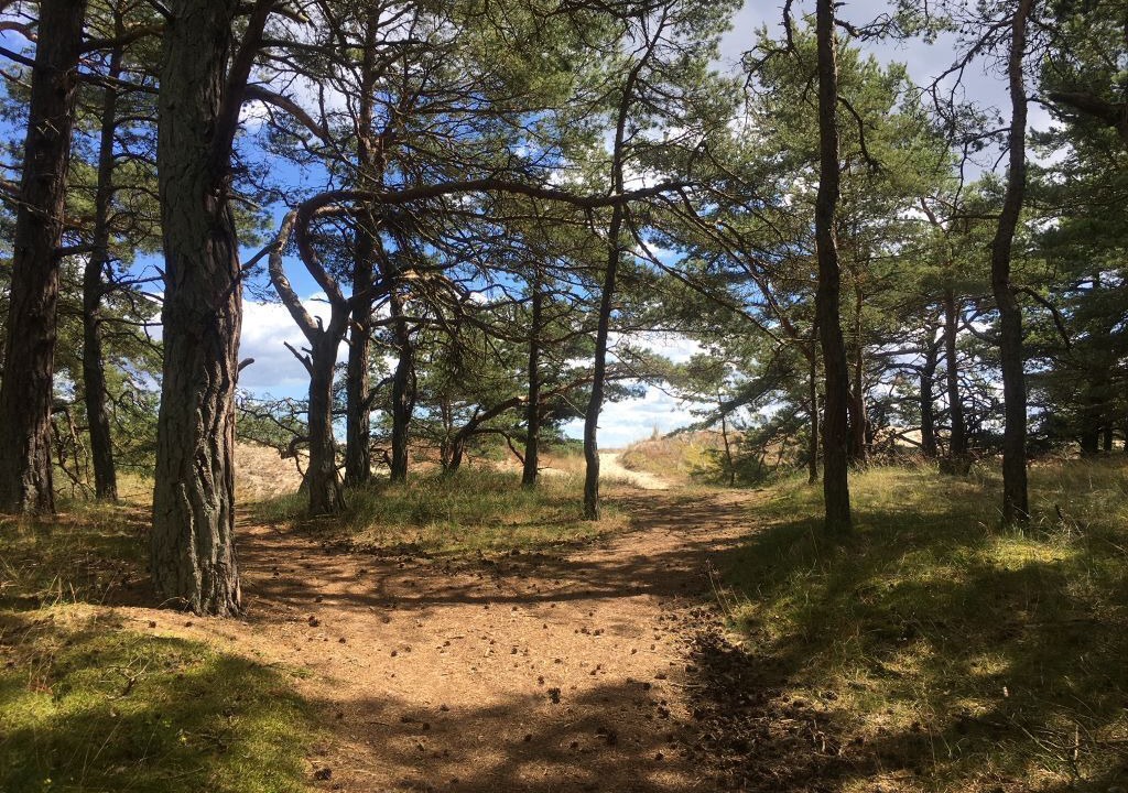 Photo of Outdoor in Yngsjo
