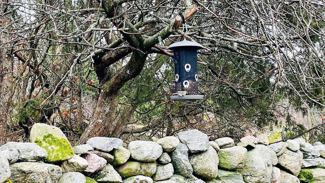 Photo of Outdoor in Svanesund