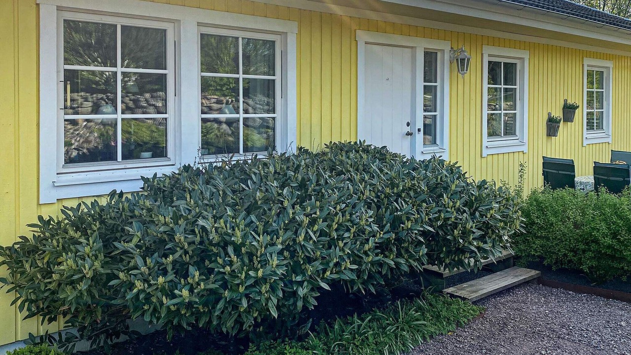 Photo of Outdoor in Svanesund