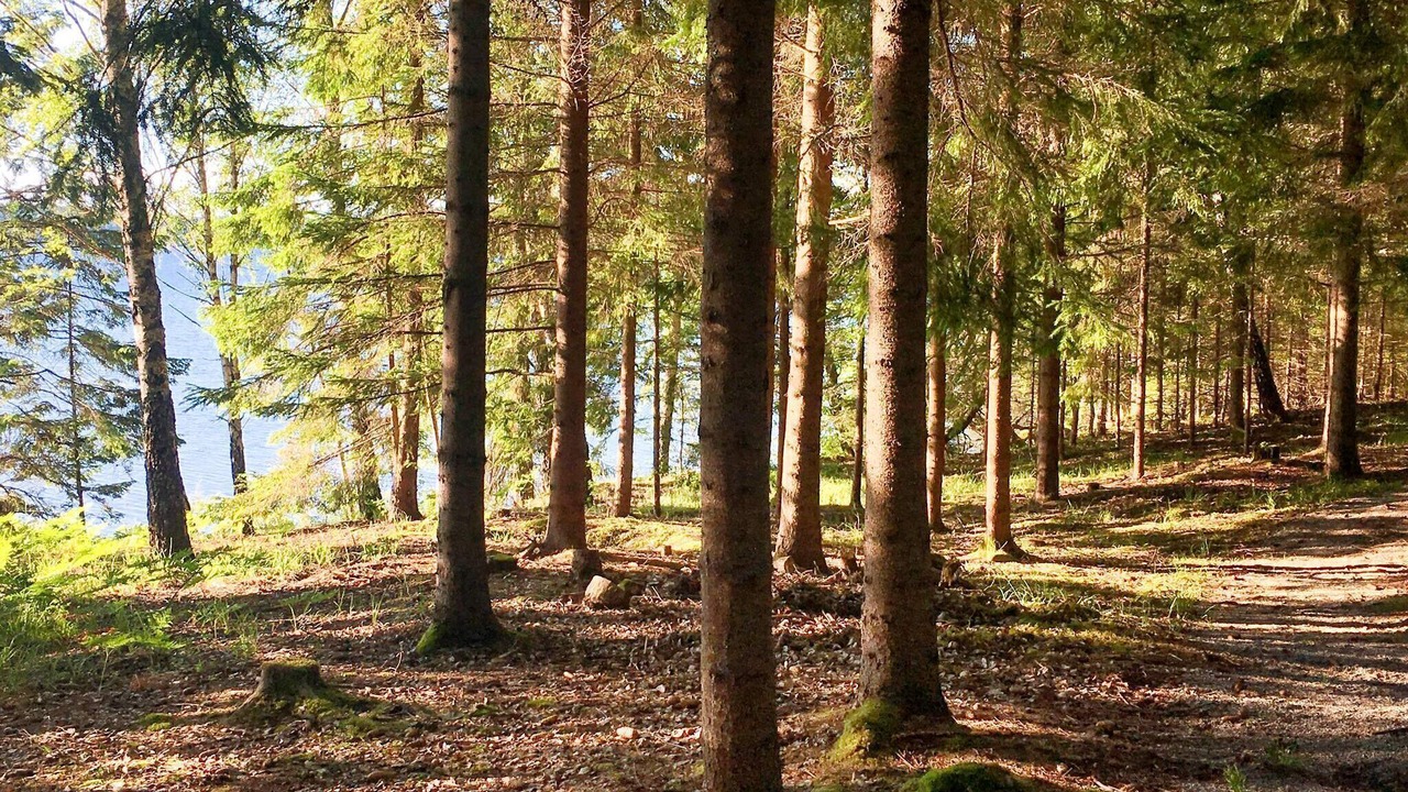 Photo of Others in Stockholm