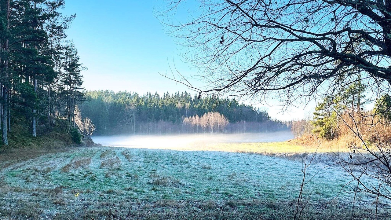 Photo of Outdoor in Sodersvik