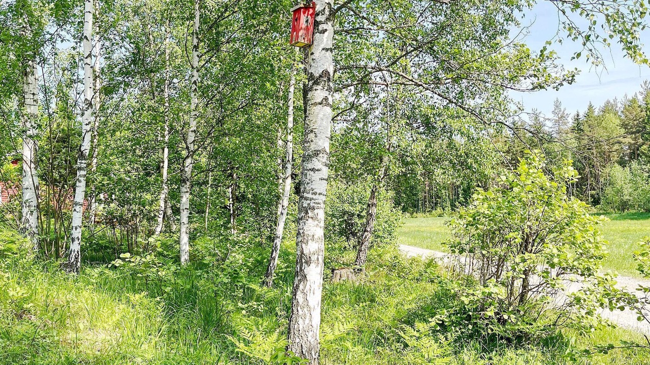 Photo of Others in Sodersvik