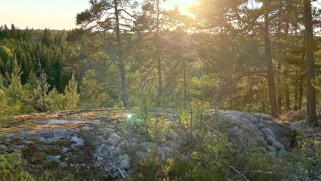 Photo of Outdoor in Sodersvik