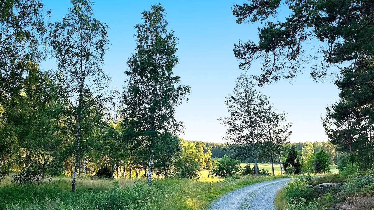 Photo of Others in Sodersvik