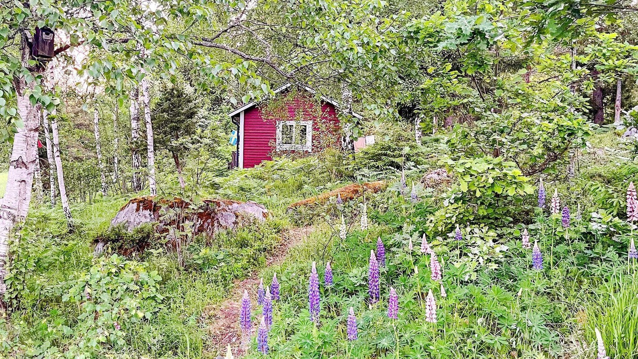 Photo of Outdoor in Sodersvik