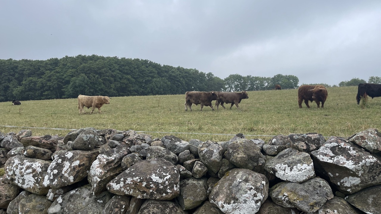 Photo of Outdoor in Bastad
