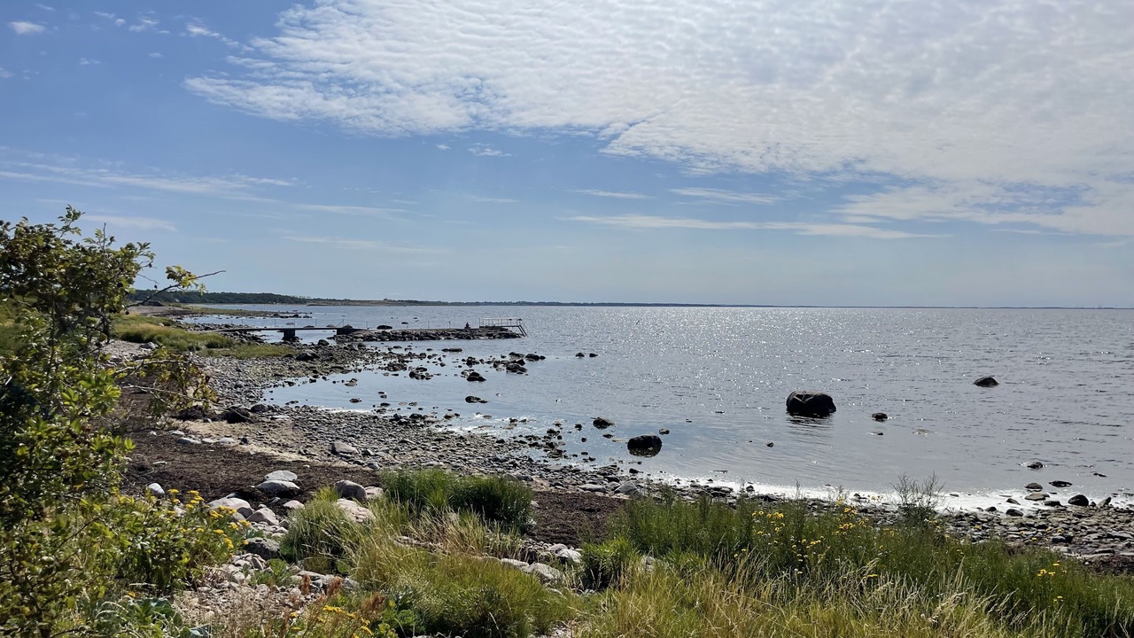 Photo of Others in Bastad