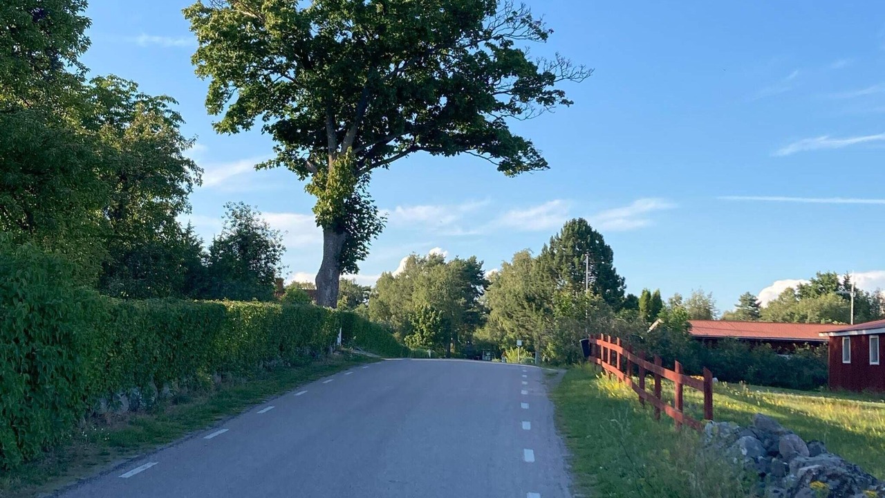Photo of Others in Odensbacken