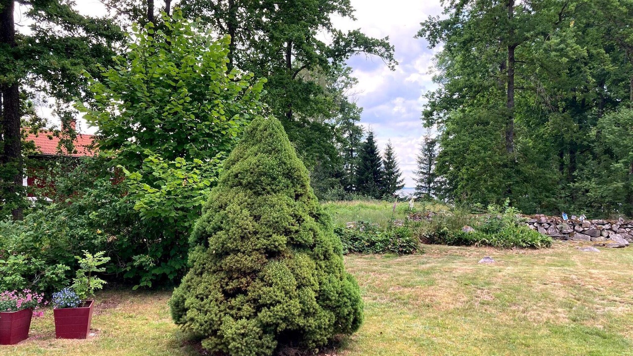 Photo of Outdoor in Odensbacken