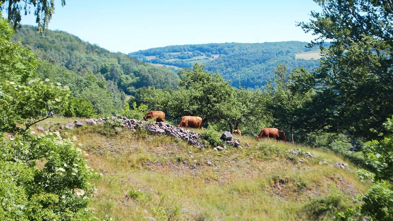 Photo of Outdoor in Grevie