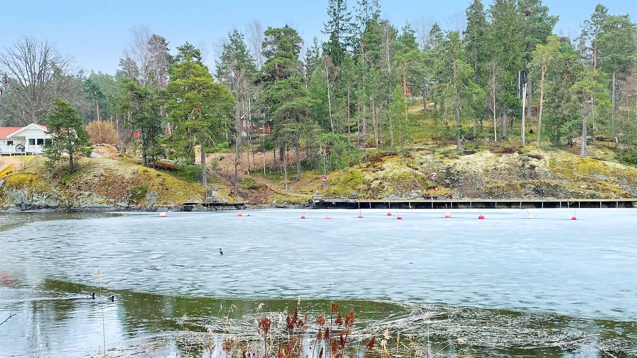 Photo of Others in Tynningo