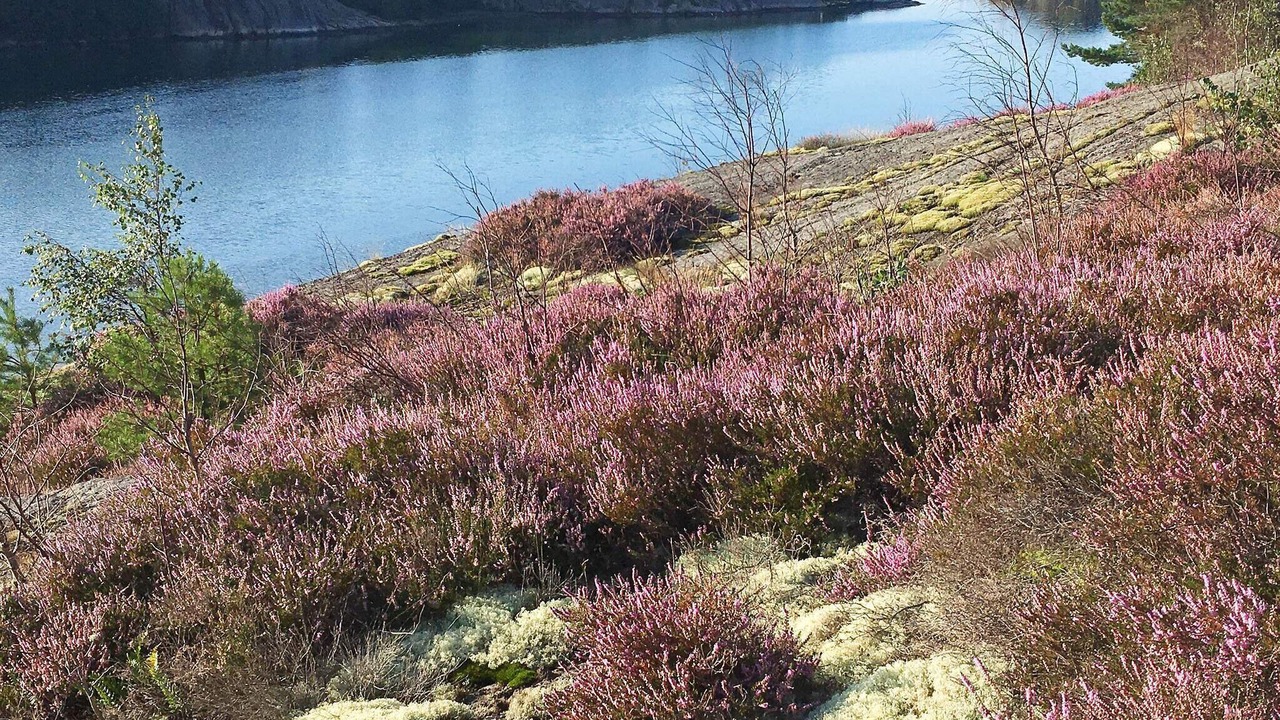 Photo of Outdoor in Nosund