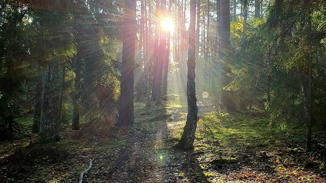 Photo of Others in Ursvik