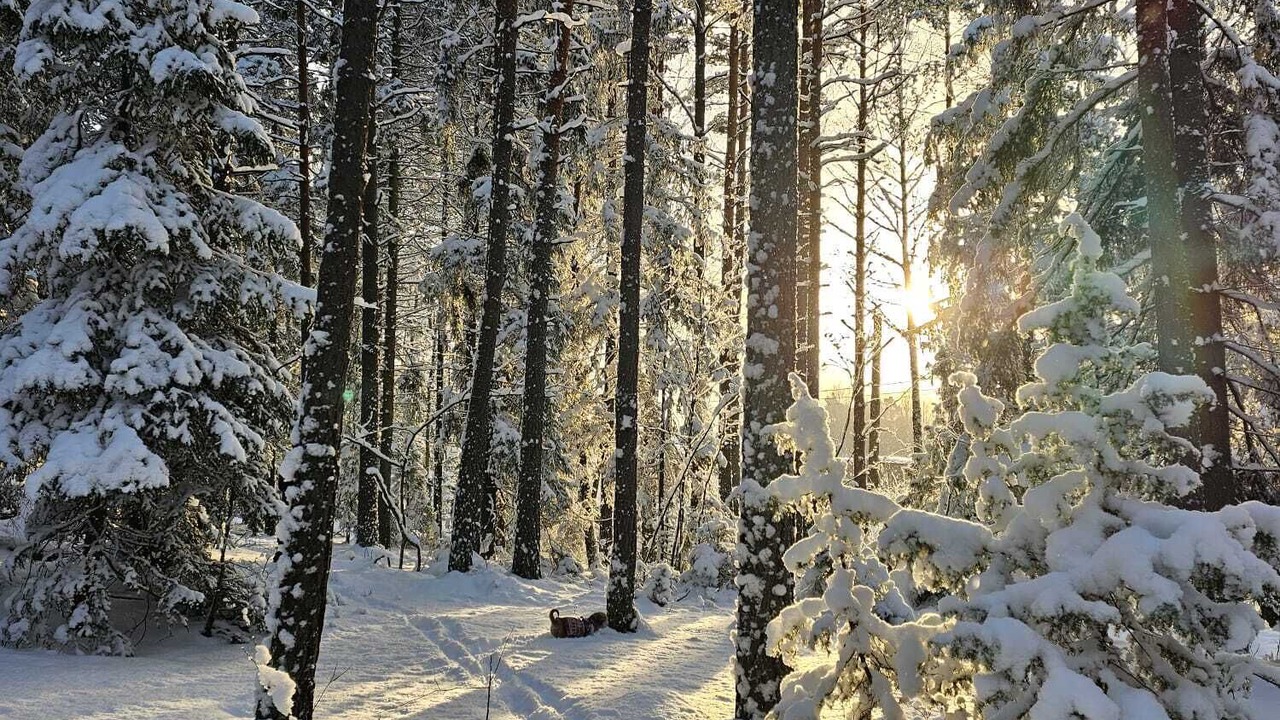 Photo of Others in Ursvik