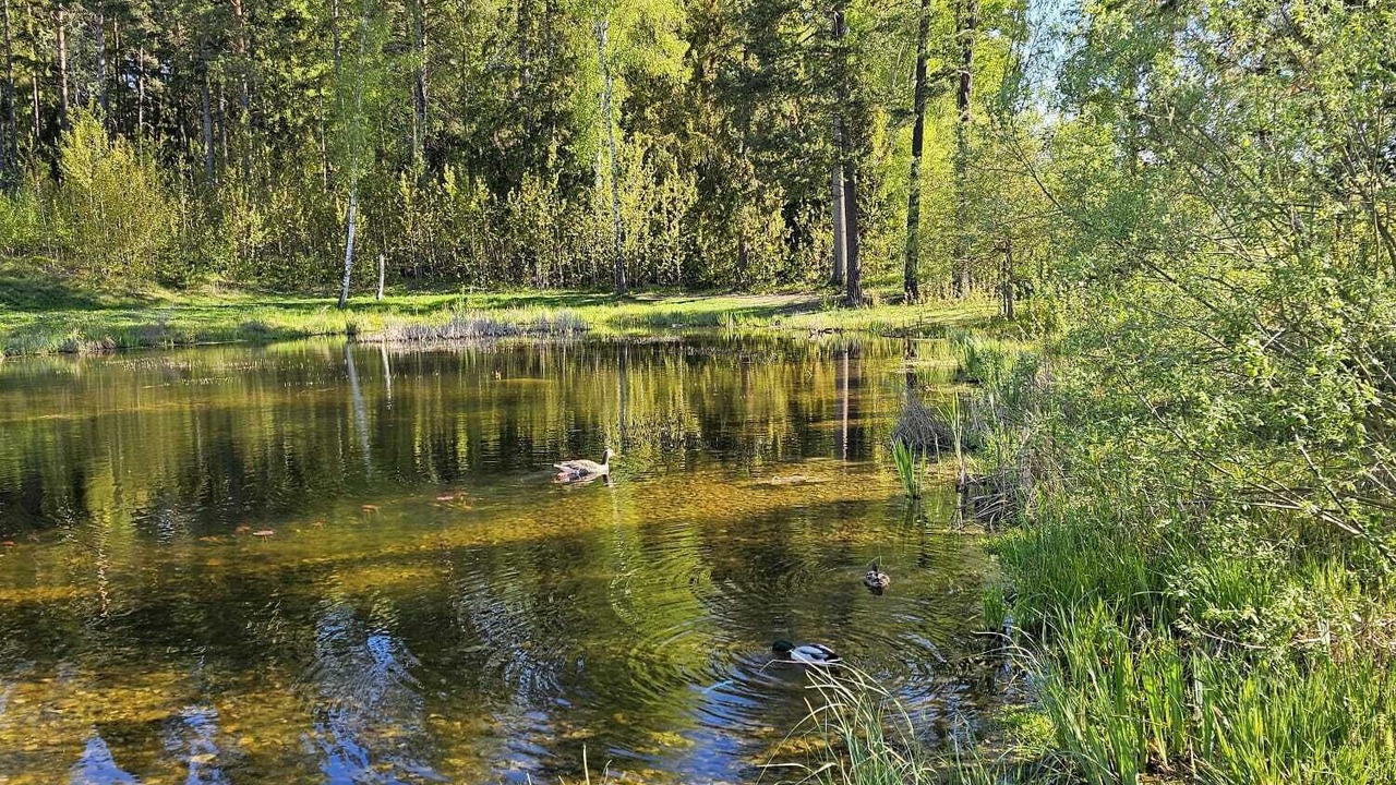 Photo of Others in Ursvik
