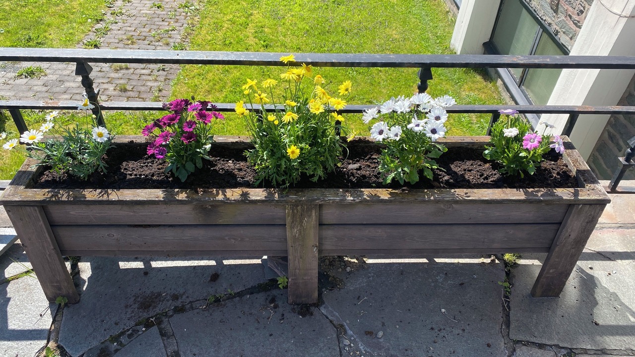 Photo of Outdoor in Oksnes