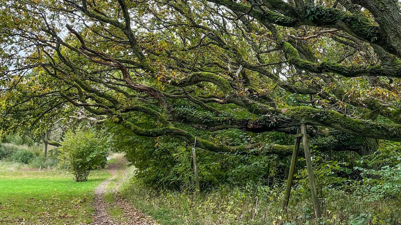 Photo of Outdoor in Groto