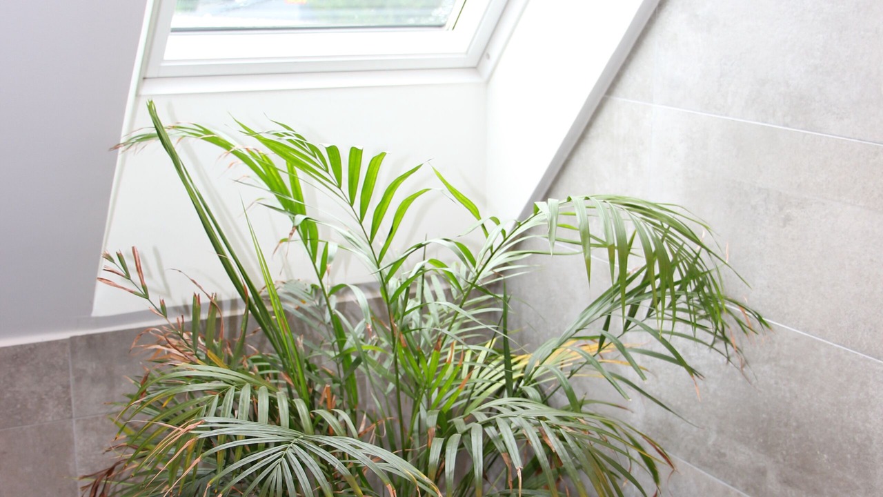 Photo of Bathroom in Lomma Municipality