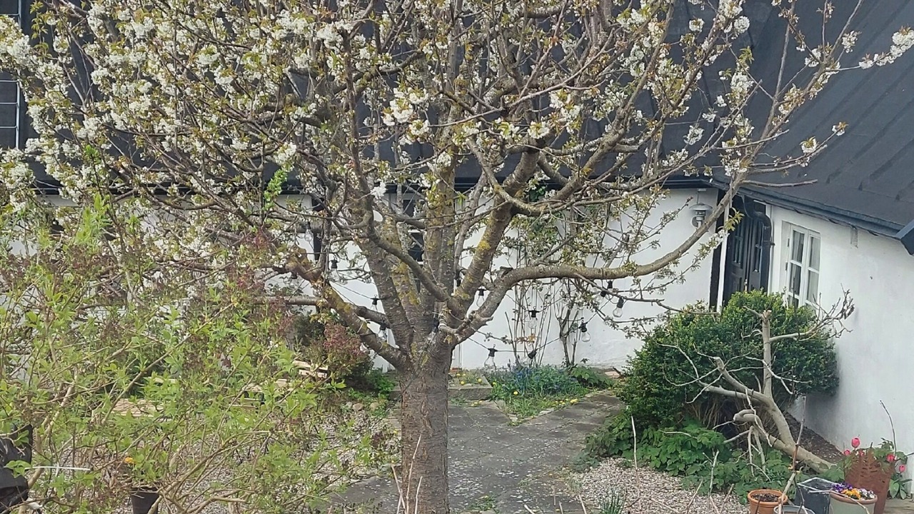 Photo of Outdoor in Lomma Municipality