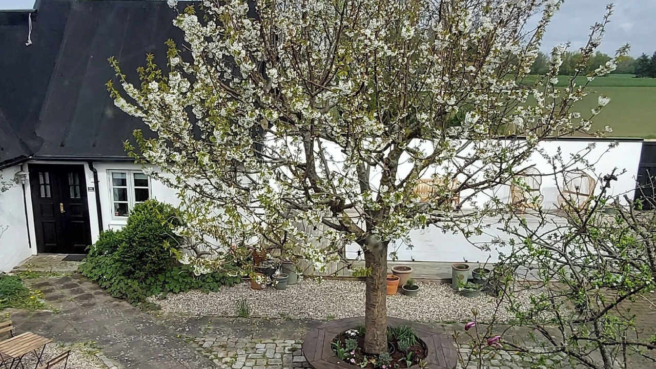 Photo of Outdoor in Lomma Municipality