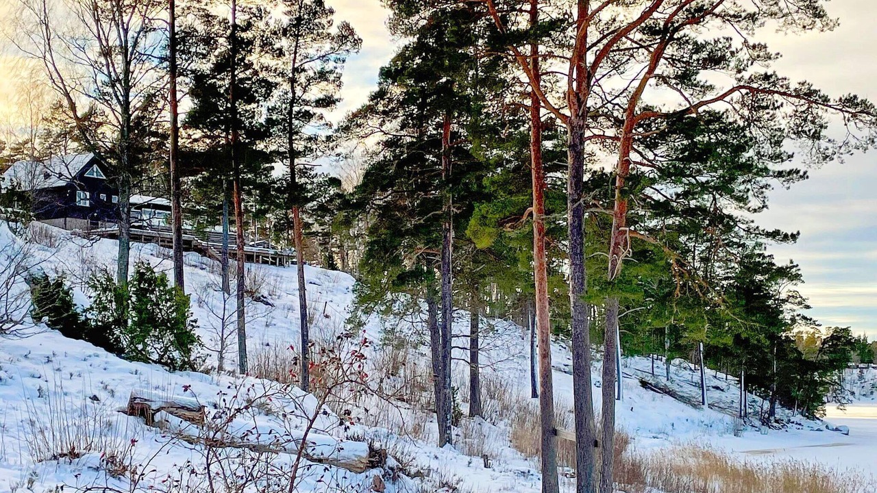 Photo of Others in Sodersvik