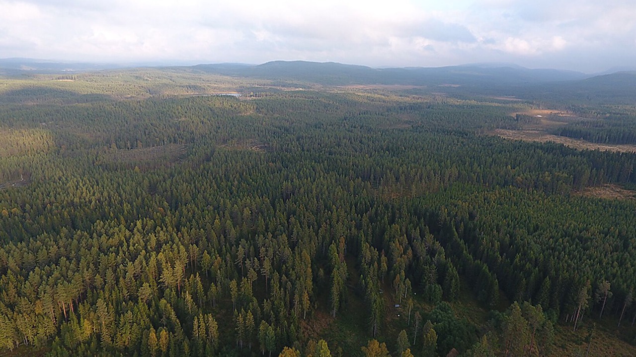 Photo of Others in Bograngen
