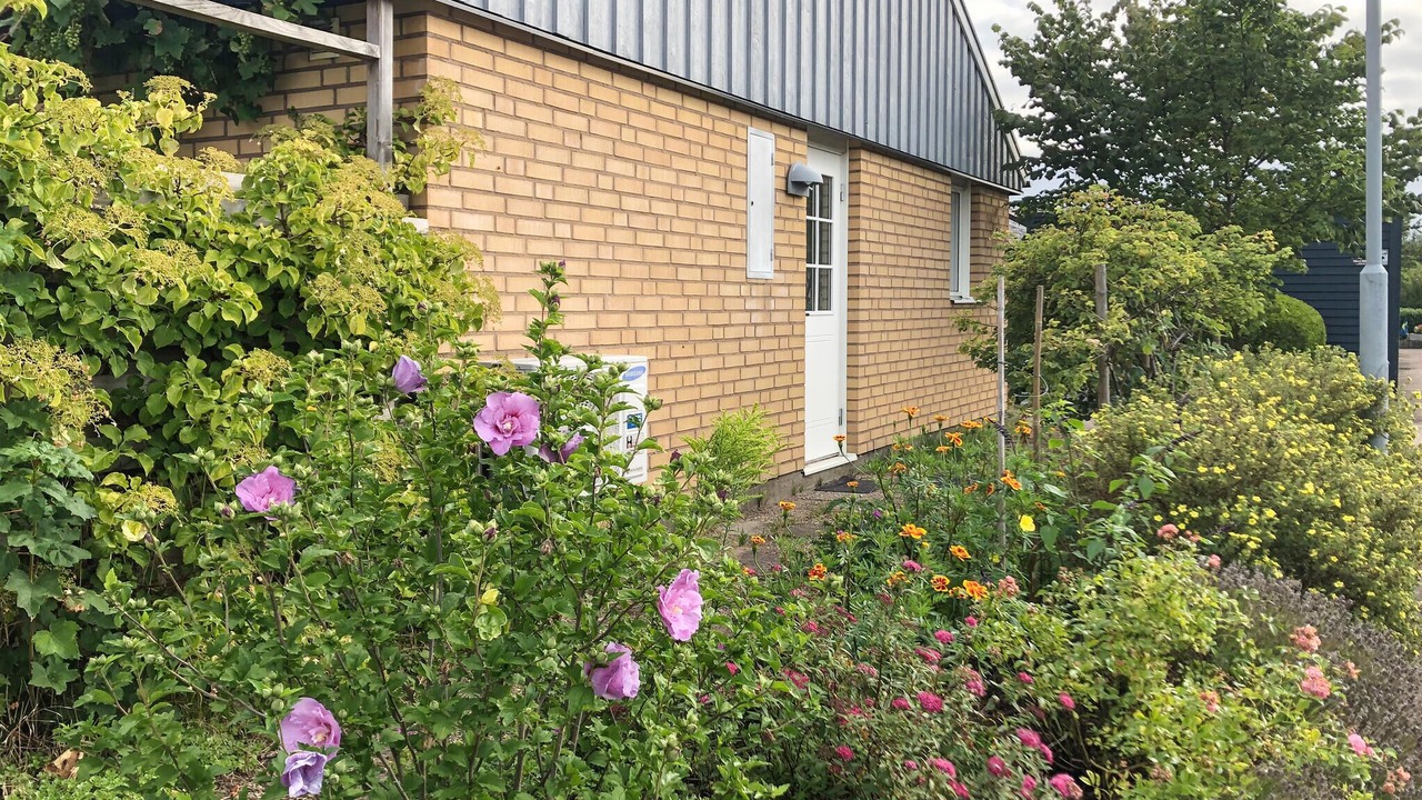 Photo of Outdoor in Lerberget
