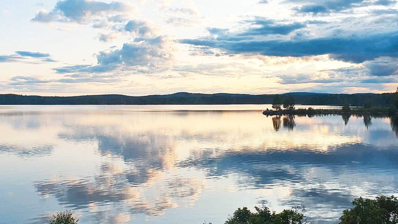 Photo of Others in Viksjofors