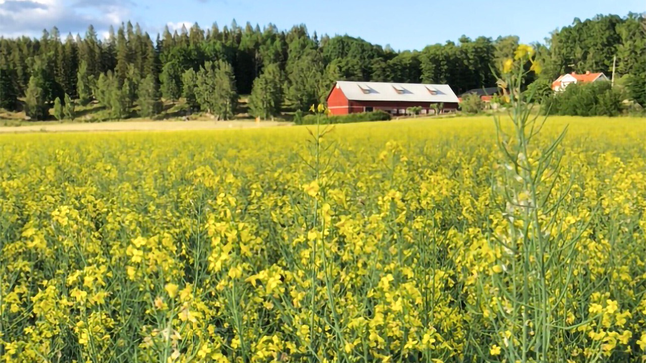 Photo of Others in Vimmerby Municipality
