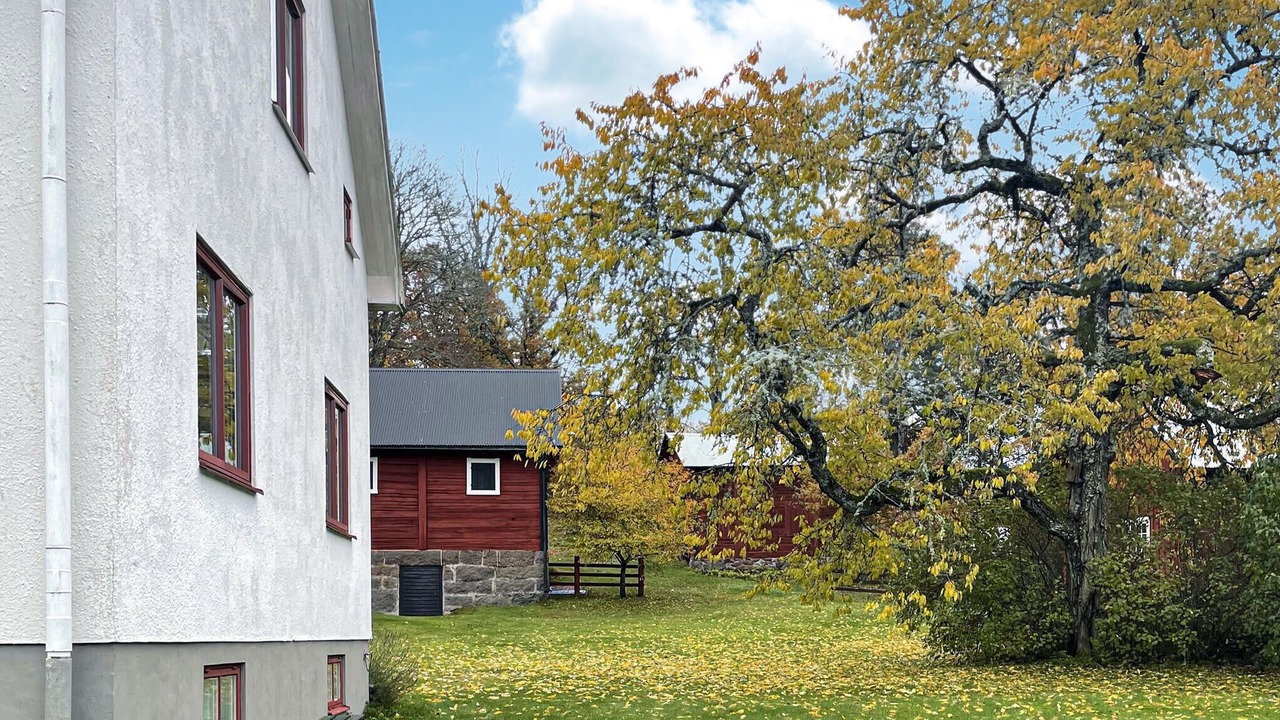 Photo of Outdoor in Vimmerby Municipality