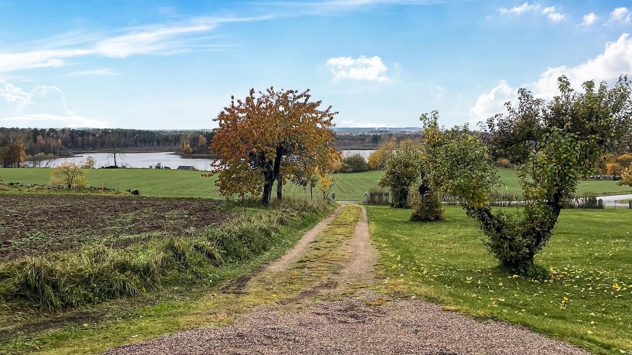 Photo of Outdoor in Vimmerby Municipality
