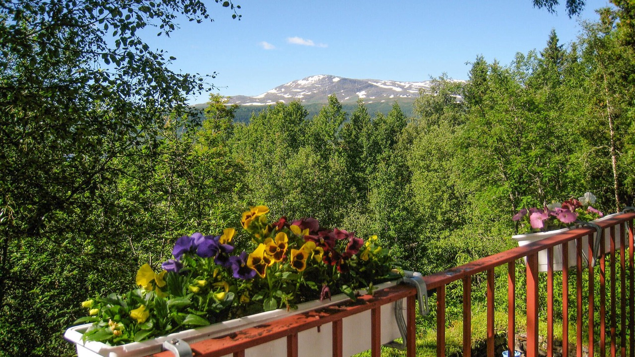 Photo of Outdoor in Kall