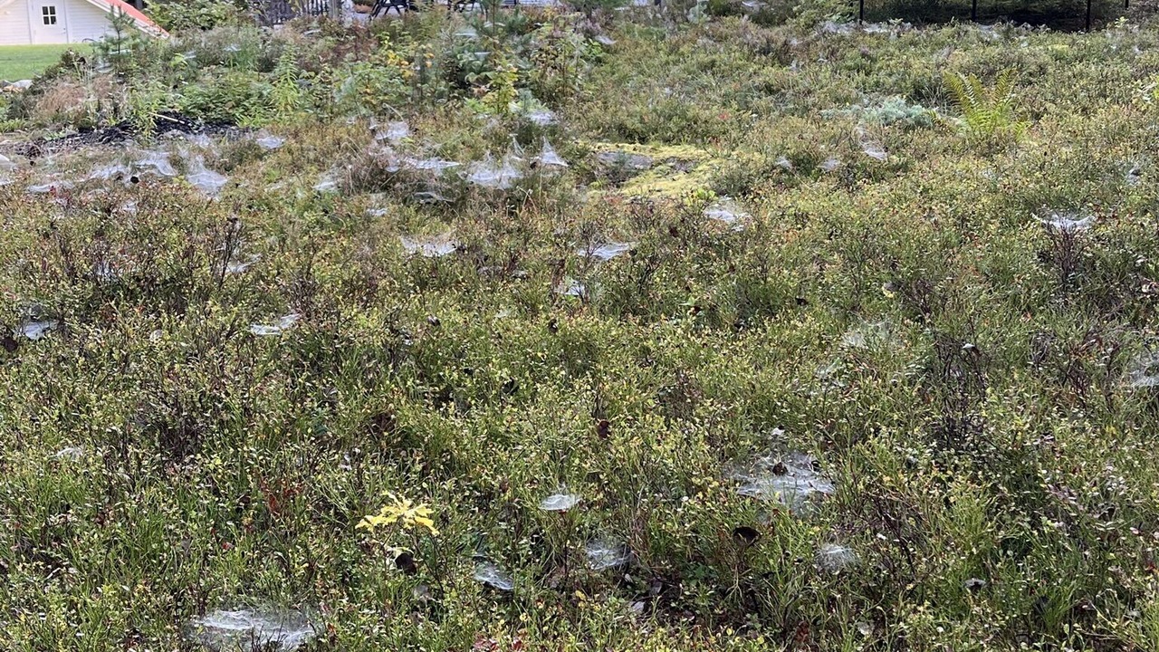 Photo of Outdoor in Resaro
