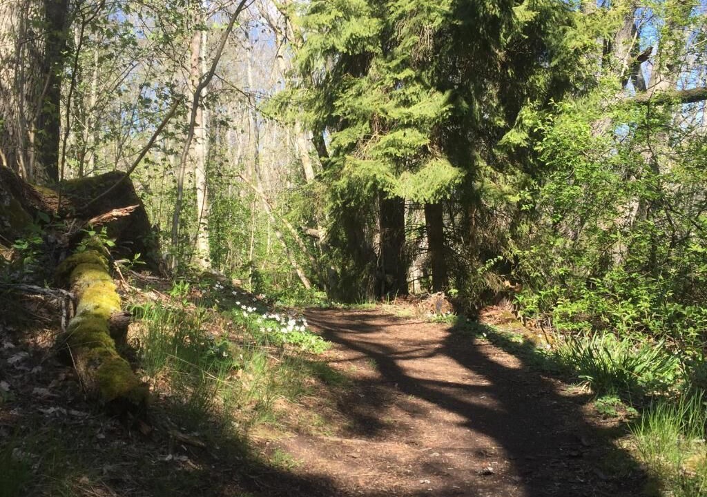 Photo of Outdoor in Hastangsudd