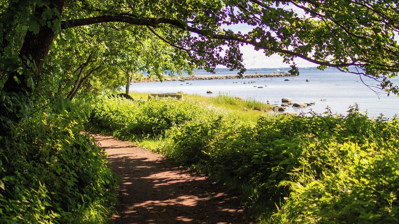 Photo of Outdoor in Horten