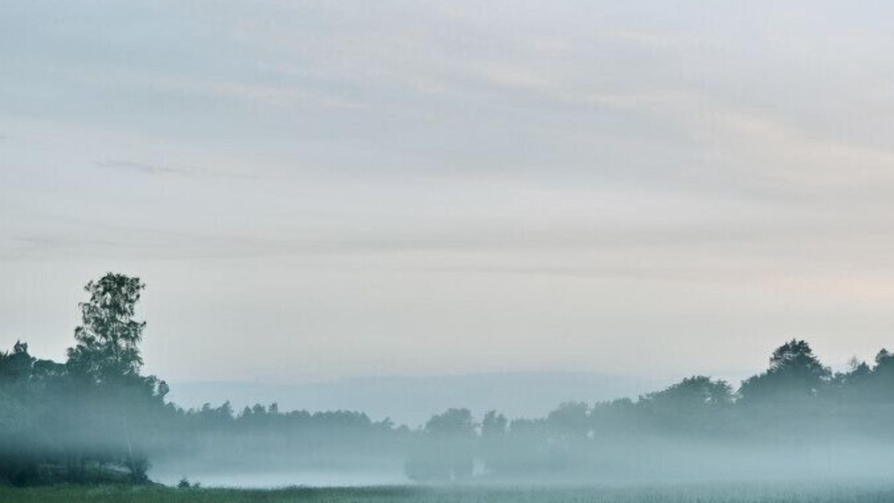 Photo of Others in Vasterljung