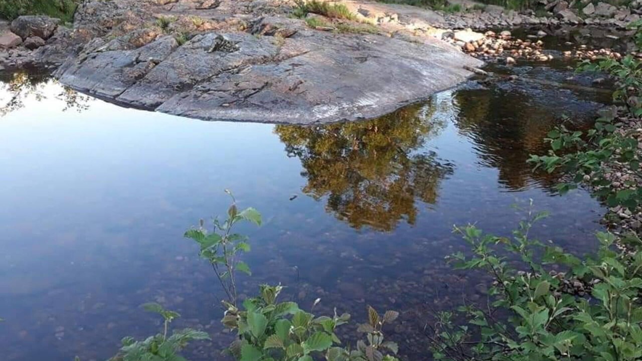 Photo of Others in Tørdal